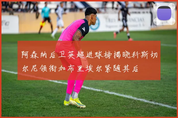 阿森纳后卫英超进球榜揭晓科斯切尔尼领衔加布里埃尔紧随其后